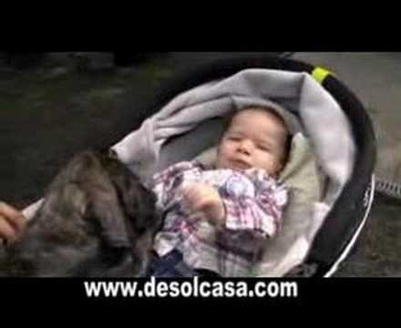 fila brasileiro