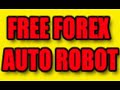 Amateur trader cracks forex trading code.