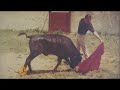 Spanish bullfighting no longer aired - 15 Mar 08 Spanish bullfighting no longer aired - 15 Mar 08