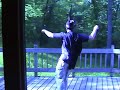 Dance Like an Idiot Dance Like an Idiot
