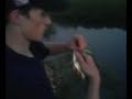 Panfish