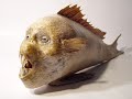 1. Sirenas - Fenomenos Paranormales II