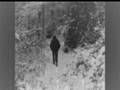 Nocturnal Depression - Vinter