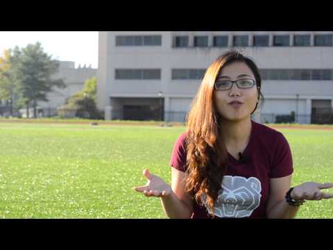 newstream enterprise career newstream enterprise career