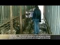 Ärzte für Tiere - Europäisches Netzwerk