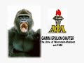 chapt 3 the blitz undergrad party 2nd reunion of alphas