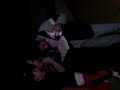 sd cantando: gavilan o paloma
