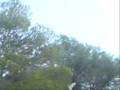 videos de Free running - parkour stis anabathmides