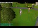 Runescape Very lucky unban Runescape Very lucky unban