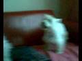 Luna en Kiara Potten .mp4