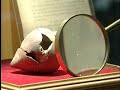 MIMMA - MUSEO INTERACTIVO DE LA MUSICA