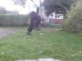 Jumpstyle Gurke #13