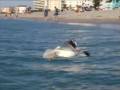 videos de The Dave Murphy Show - Episode 18: Beach