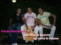 Fondo Flamenco - Princesa Fondo Flamenco - Princesa