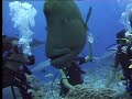 Tahiti with Interconti com a Best