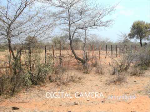 Sofana - BEST OF BOTSWANA GOSPEL BY Isaac maleyi from country Botswana. They often sing in Kalanga but this one they say it in Ndebele/Zulu. It was common around 2006...
