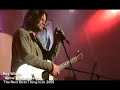 ray wilson performs 