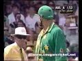 McGrath/Hayden Incident - 1995 McGrath/Hayden Incident - 1995