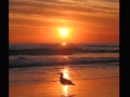 Jonathan Livingston Seagull Mini Movie ( Hisautumnrain )