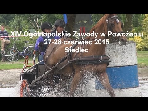 Click to View : XIV Ogólnopolskie Zawody w Powożeniu - Siedlec 2015