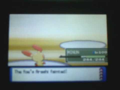 plusle