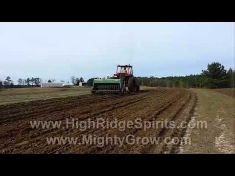 how to fertilize winter rye