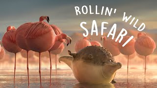 ROLLIN` SAFARI - what if animals were round?