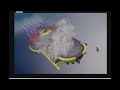 smash-brawl-falcon-olimar-3-.html