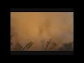 Tannerite, a deer carcass and a truck