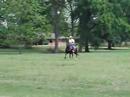Casimero in the saddle Casimero in the saddle