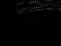 videos de chemical brothers creamfields andalucia 2008 con los tunante