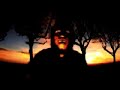 fuse -febre da selva