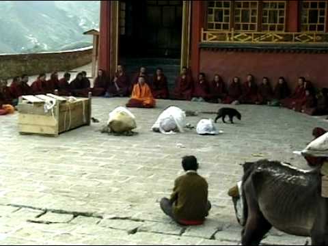 sky burial rituals in tibetan buddhism What is sky burial some communities adopted sky burial practices when they converted to tibetan buddhism its existence highlights the diversity of belief within that population and how much our funeral ceremonies and rituals change from place to place and over time. sky burial rituals in tibetan buddhism What is sky burial some communities adopted sky burial practices when they converted to tibetan buddhism its existence highlights the diversity of belief within that population and how much our funeral ceremonies and rituals change from place to place and over time.