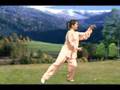 Combined Taijiquan 48 Forms