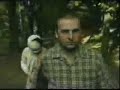 Husbands who love their wives (wife, fun,comedy,video,movie) Husbands who love their wives (wife, fun,comedy,video,movie)