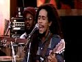Bob Marley - Positive Vibration