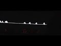 Sigur Ros \"Smaskifa\" live (from Vaka single)