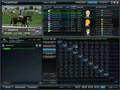 Betting Interface