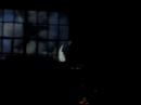 Video screenshot