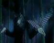 Tribute to Tyki ~ Butterfly
