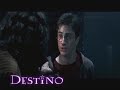 Trailer Destino#4