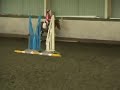 Trot to Halt