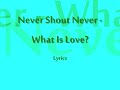 Never Shout Never - What Is Love? Lyrics (studio version)