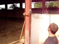neila-du-jambot