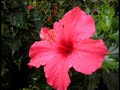 Steve Evans Travel Log - China SAR - Hong Kong & Macau