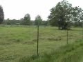 Rusa Rusa