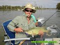 Lake Mulwala-Cod Classic