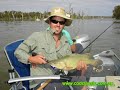 Lake Mulwala-Cod Classic