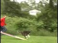 kleptos-dog-walk.html