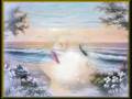 Clip Philippe Chatel Chanson De L'extraterrestre